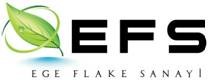 EFS